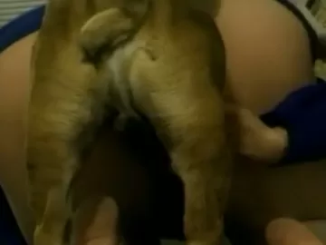 Coroa bunduda grava vídeo amador fazendo sexo com cachorro