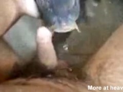 Peixe chupando o pau de um homem na piscina