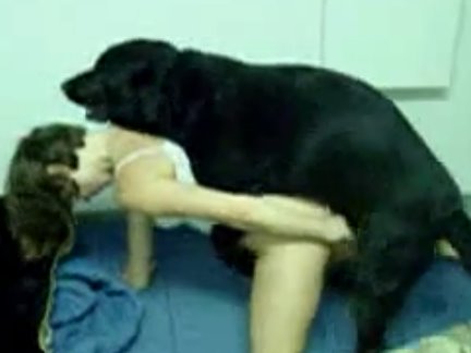 Cachorrinho transando com a mamãe gostosa
