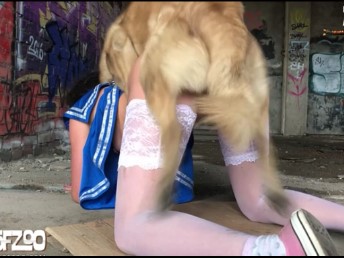 Cachorro fodeu e gozou na xoxota da mulher na construção