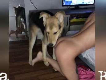 Câmera escondida flagra esposa tentando transar com cachorro