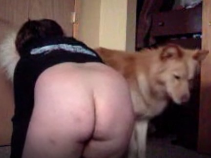 Menina dando para o cachorro