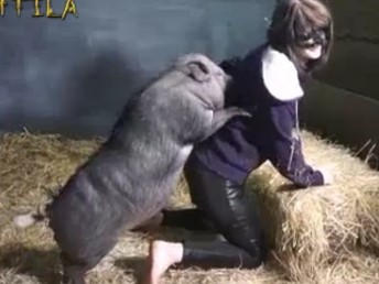 Porquinho preto fazendo sexo anal com uma putinha branca